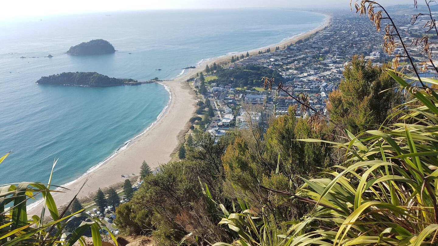 Hikers on Mauao summit trail showing coastal views